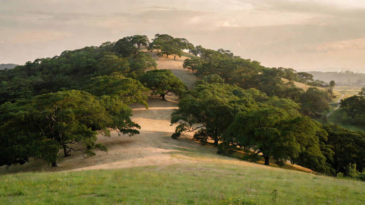 Oak Grove Path